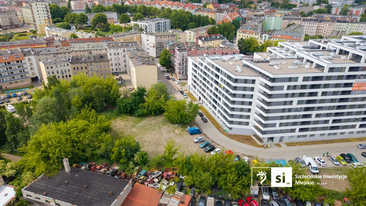 W okresie lęgowym ptaków rusza wycinka drzew pod budowę parkingu. „Nie stwierdzono obecności gniazd”